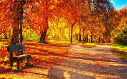 Красивая и мудрая Осень даёт нам подсказки